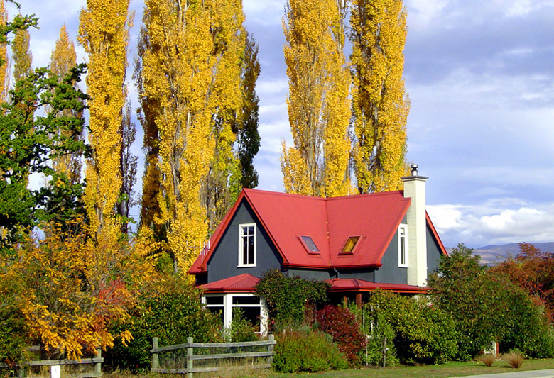 Client's home in front of poplar trees