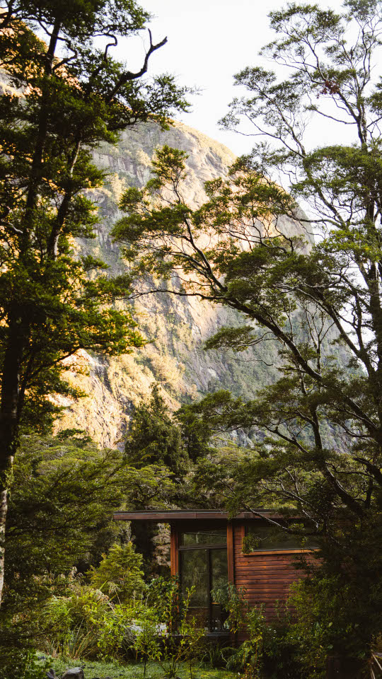 Cedar clad chalet surrounded by mountains and native bush