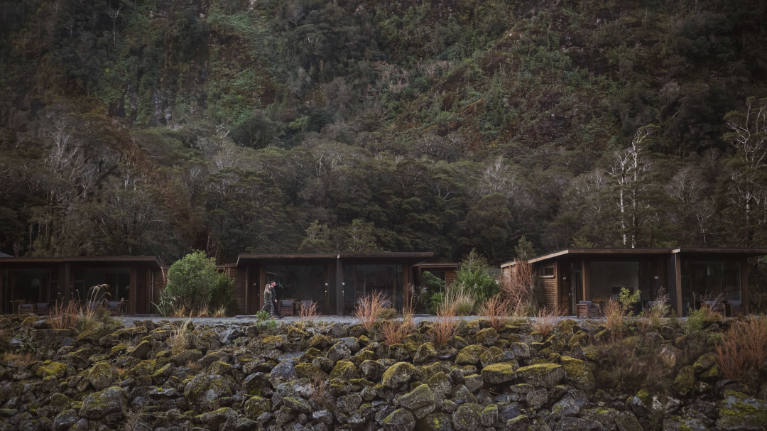 Front view of chalets set against a backdrop of native bush, showcasing contemporary architecture nestled within lush natural surroundings.